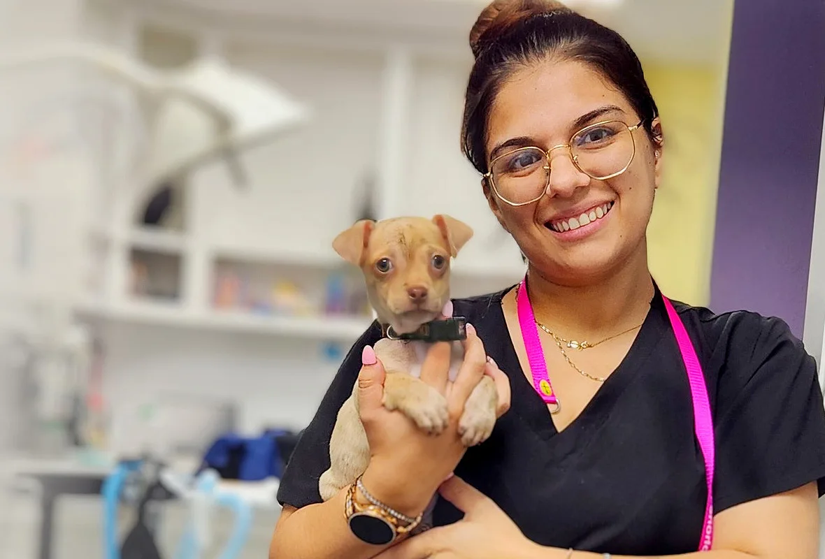East End Animal Surgery and Urgent Care